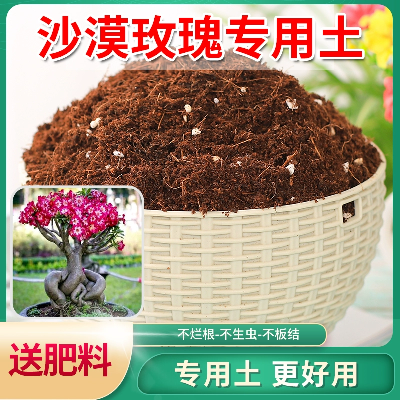 Пустынная роза, специальная почва для выращивания цветов