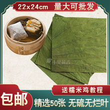 广东发货干荷叶片糯米鸡大肚子藕叶茶叫花鸡熬粥可配冬瓜整张切片