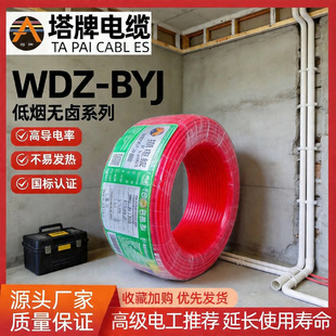 ��������|WDZ-BYJ�͟��o�u�~оPVC�o���҃������Ç�����|��