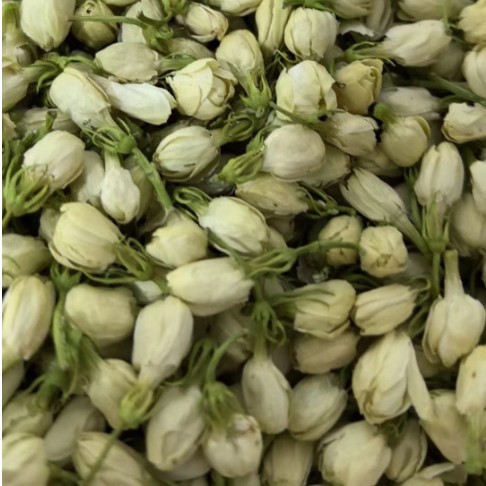 批发供应优质花草茶茉莉花茶/茉莉花干/茉莉中花蕾量大从优