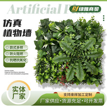 �羳����ֲ����b�M���S��ľ�ٻ��b�Ʒ�������ֲ���ƺ�|��