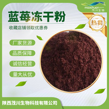 蓝莓冻干粉食品级 鲜果低温冻干 蓝莓粉1kg茂川供应现货包邮速发