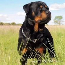 ���l��ϵ�_���{��Ȯ���w�������N��С���_���{�o�lȮ����Ȯ����Ȯ