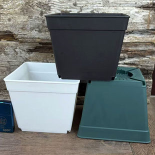 ĥɰ�Ӻ�ڷ���12*12cm3ɫ���̖�Nֲ��AP�ڰ׻���75g