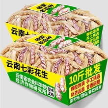 新货云南七彩花生新鲜晒干带壳生熟彩色牛奶七彩野地花生整箱批发