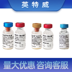 Ӣ����������Ȯ���⿵�J������Ȯ��Ȯ�ù�����Ȯ����С�A���