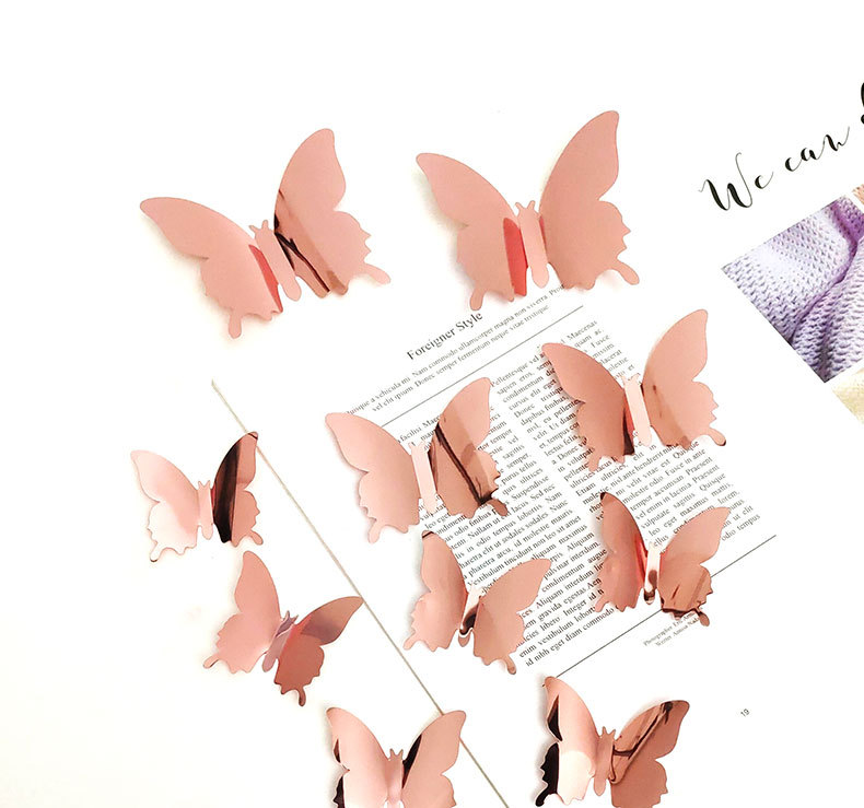 镜面蝴蝶详情_03.jpg