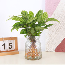 ���~����ˮ�������҃�ˮ�B���~���B�����w��ֲ���ȸ�p�����~����