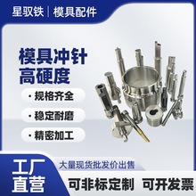 A冲常规T冲五金模具冲针冲头SKH51 SKD11 SKH9非标各类冲针