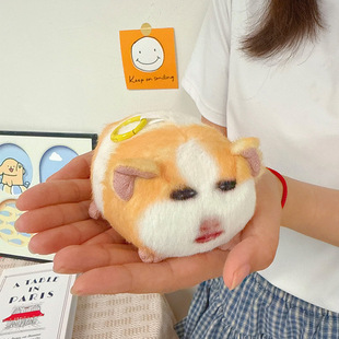 �i椒��ë�q��߸�ֺ��m�i��ż�ɰl������������նY����Ů��