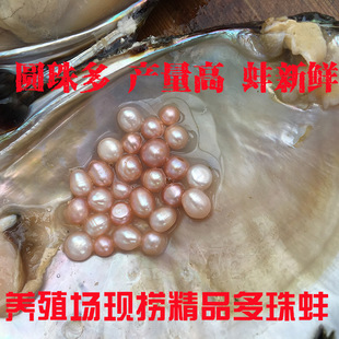������۵�����������Bֳ��ˮ�r��������Ӱ�ȡ����M�ϰ��հ��a