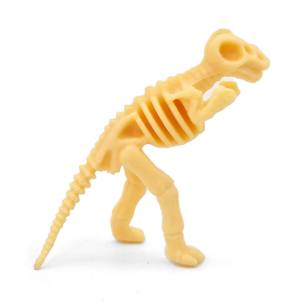 Small dinosaur