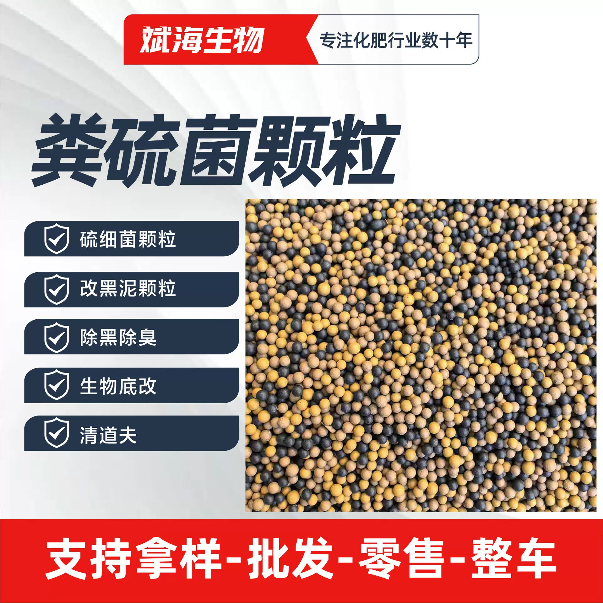 粪硫菌颗粒水产养殖必备去除硫化氢改善水质粪硫菌颗粒