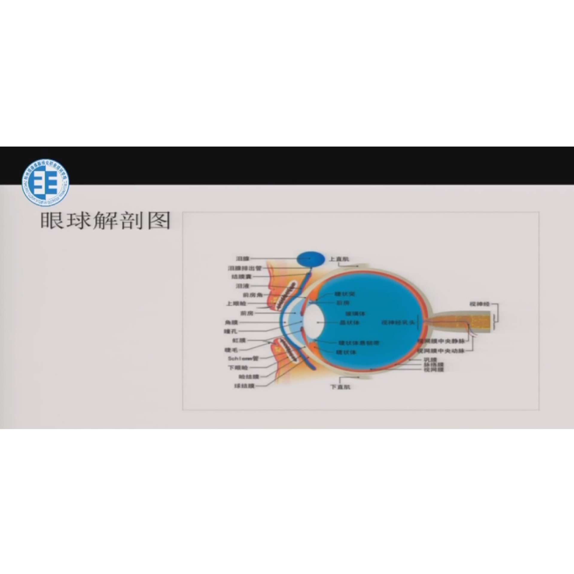 ���������Ĥ���ξ��Խ�Ĥ��Ӱ��  �γ�����