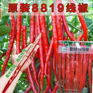 ժ�������L�����������óԶ��G�l8819����2-6�·��r���ԷN�߲ˌI