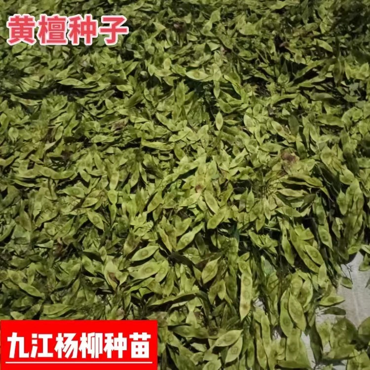 微信图片_20231031160559