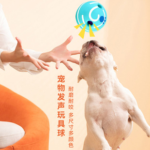 ���R�d�����l��߶�����ĥ���W���Ϳ�ҧ�����Ӗ��������