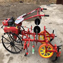 ΢���C��Ĥ�C������Ĥ�C�߉Ŵ�݆�Ĥ�C��Ĥ���w�C��Ĥ��w�r��