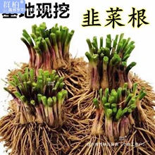 Fl²˸ϸ~tļ¾²˸̨߲l