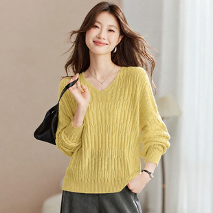 �Sɫᘿ����ﶬ�����@�����ë��2026�¿�ٴ�p�g��ë�켏�����