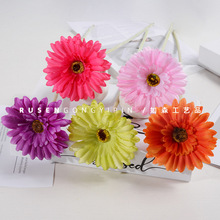 ��֧���ɻ����滨 ̫ꖻ��ٻ����S�����l�Ҿ��b� ���޾� �ջ�