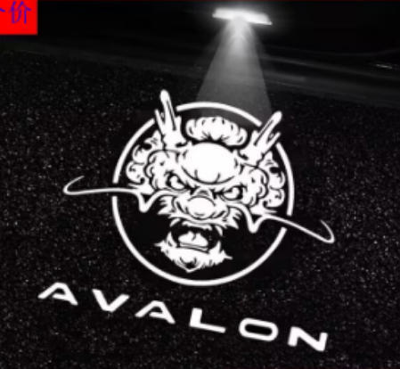 Aplicable TOYUTA asiático dragón de bienvenida lámpara de puerta LED cristal de cuarzo chip no desvanecer lámpara de proyección