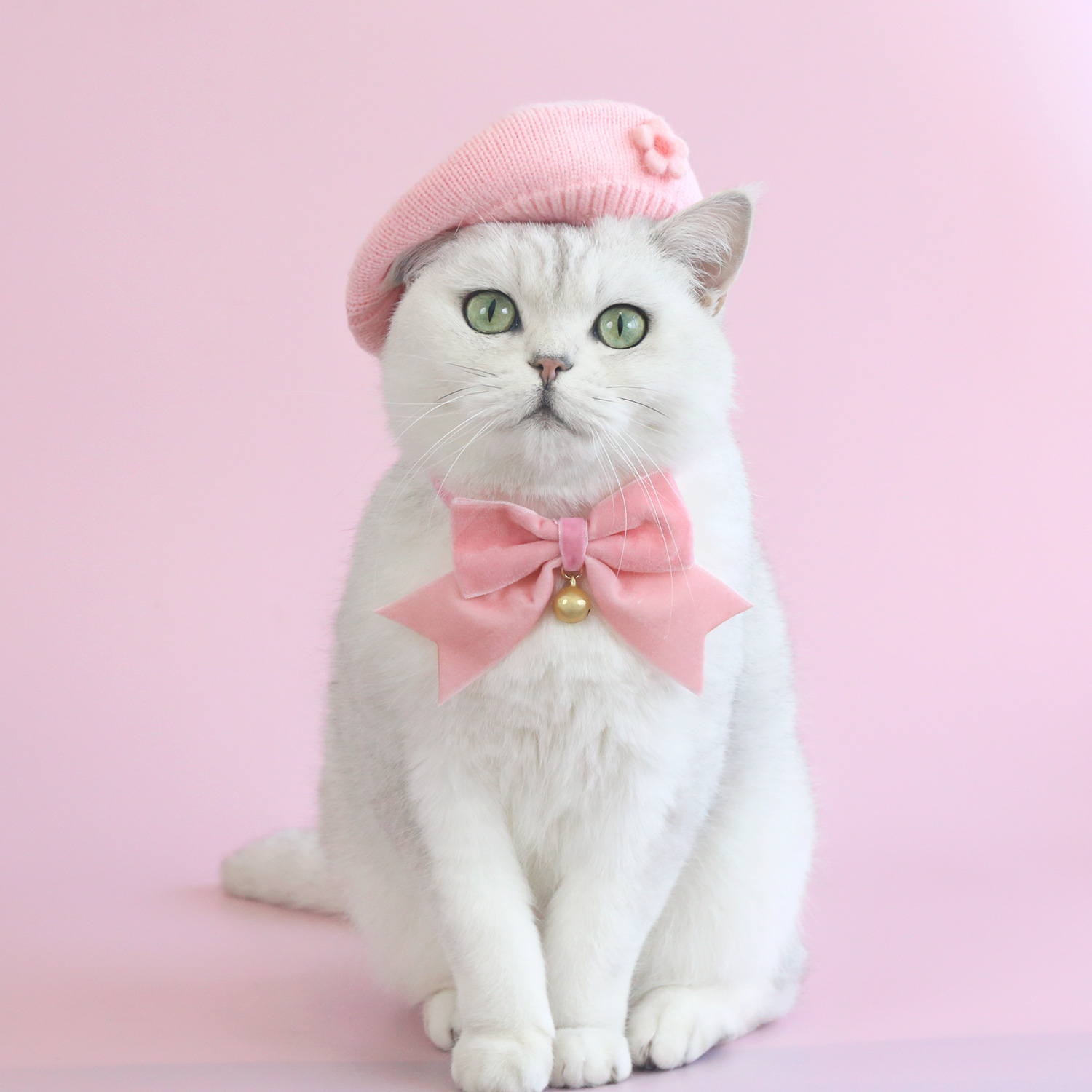 Perro de mascota de lana de punto Boina pintor sombrero gato perro Pequeño sombrero de seda set collar arco