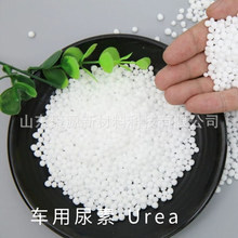 ��/���B��/���S��Ȼ�⡾܇�����ء��w��늏S��Ó��Ó�����I����