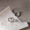 Silver needle, earrings, fashionable zirconium, french style, silver 925 sample, light luxury style, internet celebrity