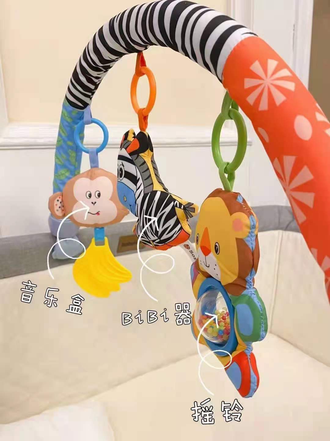 详情 (21)