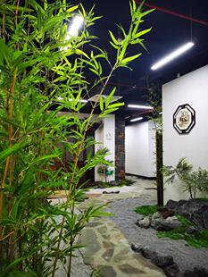 竹枝带叶高仿真竹园林用品装饰竹竹篱笆小竹条绿植竹子-阿里巴巴