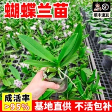 �����m���ļ��_����ɫ���x�k��������Gֲ�����̨ͥԺ�����m�N��