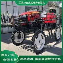 50RʽUFC С󶹴șC 򌇊șC