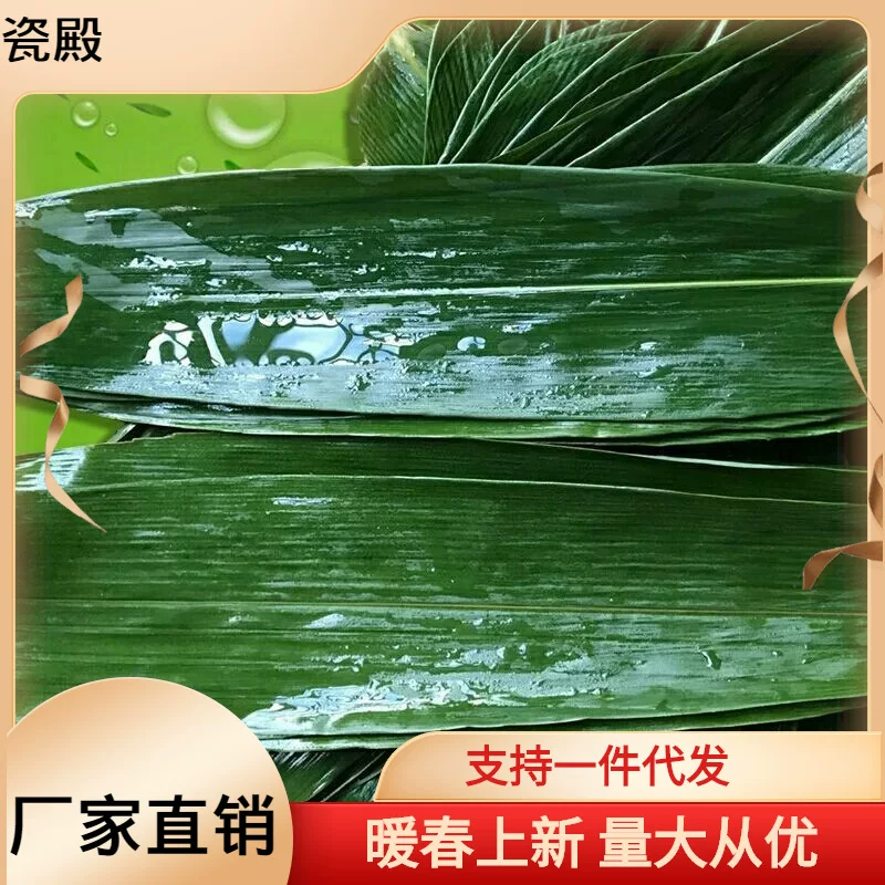 Рongye Baozi Zongzi Свежие крупные средства мебели листовые перчатки Grassless большие листья bald leaf оптовые