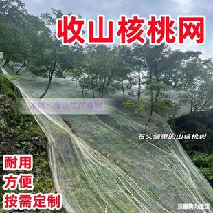 ��ɽ���ҾW�r��ɽ�ϽY���������ϼӺ�䁵�ժ��������ի@�ƾW