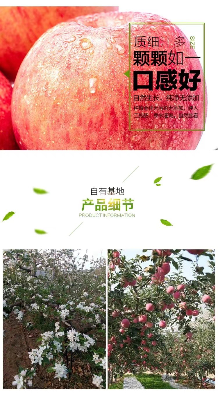 b33d78ac02d855be150138f8acb370