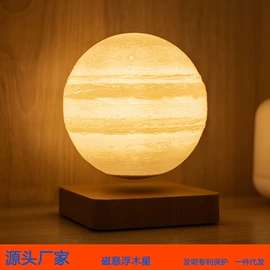 塑料工艺品;展示架;其他装饰摆件