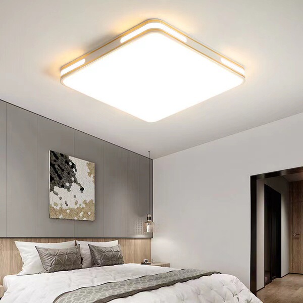 LED ceiling light for living room