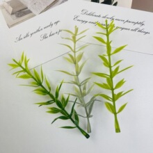 �Ե���ˮ��11CM�����������������}�Q���Է��滨����Gֲ�[��