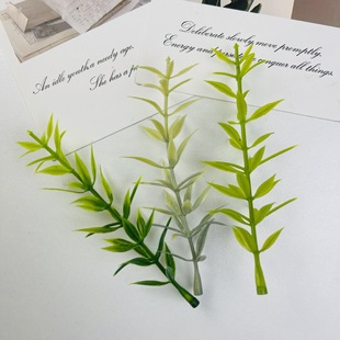 �Ե���ˮ��11CM�����������������}�Q���Է��滨����Gֲ�[��