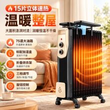 家用取暖器电暖器电热油汀片省电静音油丁对流电暖气取暖器室内