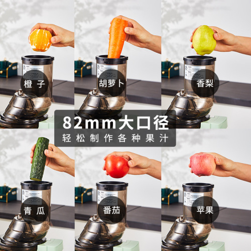 BUERK Automatic Juice Extractor Juice and Pulp Separator Household Juicer Large Diameter Fruit Juice Pure Juice Maker