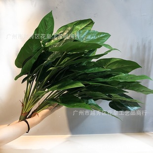 ����ֲ�� �Gֲ���Լt���R���~�Ҿ��b��滨�ָ��~ֲ�ﱳ����