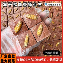 ������ʳ���������QӼС��؈�乷���}���𒻥��Ӗ������