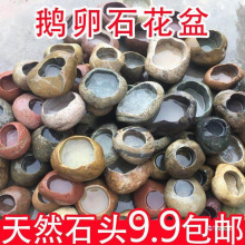 鹅卵石花盆天然石头菖蒲植物多肉复古盆景摆件非水培陶瓷花盆鱼缸