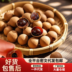 代发桂圆干2025年新龙眼干袋装 批发大颗粒果干泡水煲汤龙眼干