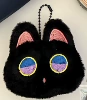 Black cat