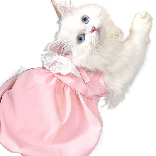 Cat dress, summer thin version, cute princess dress, backless, stuffed animal, Teddy, kitten, small dog, pet clothing