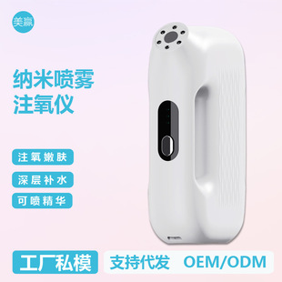 New Handheld Water Light Oxygen Injection Instrument, Home Beauty Instrument, Hydrating and Moisturizing Spray Essence Beauty Nano Spray Instrument