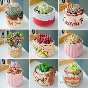 ֲM҃С¶ҵմɻϘ҃Ⱥ